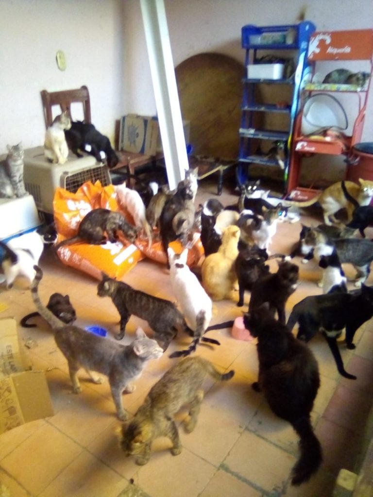 PHOTO-2021-01-22-14-16-23