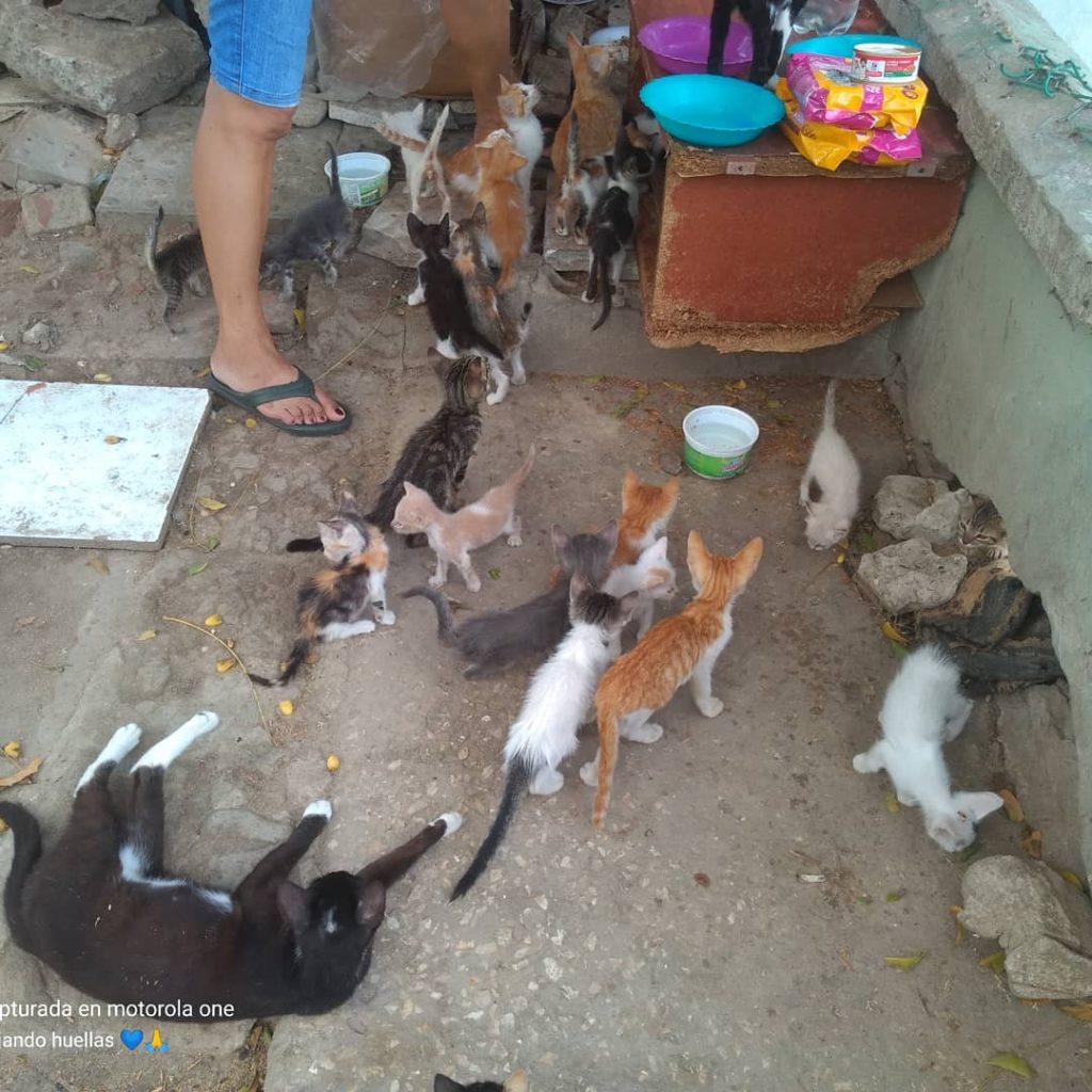 PHOTO-2021-06-11-13-42-19(1)