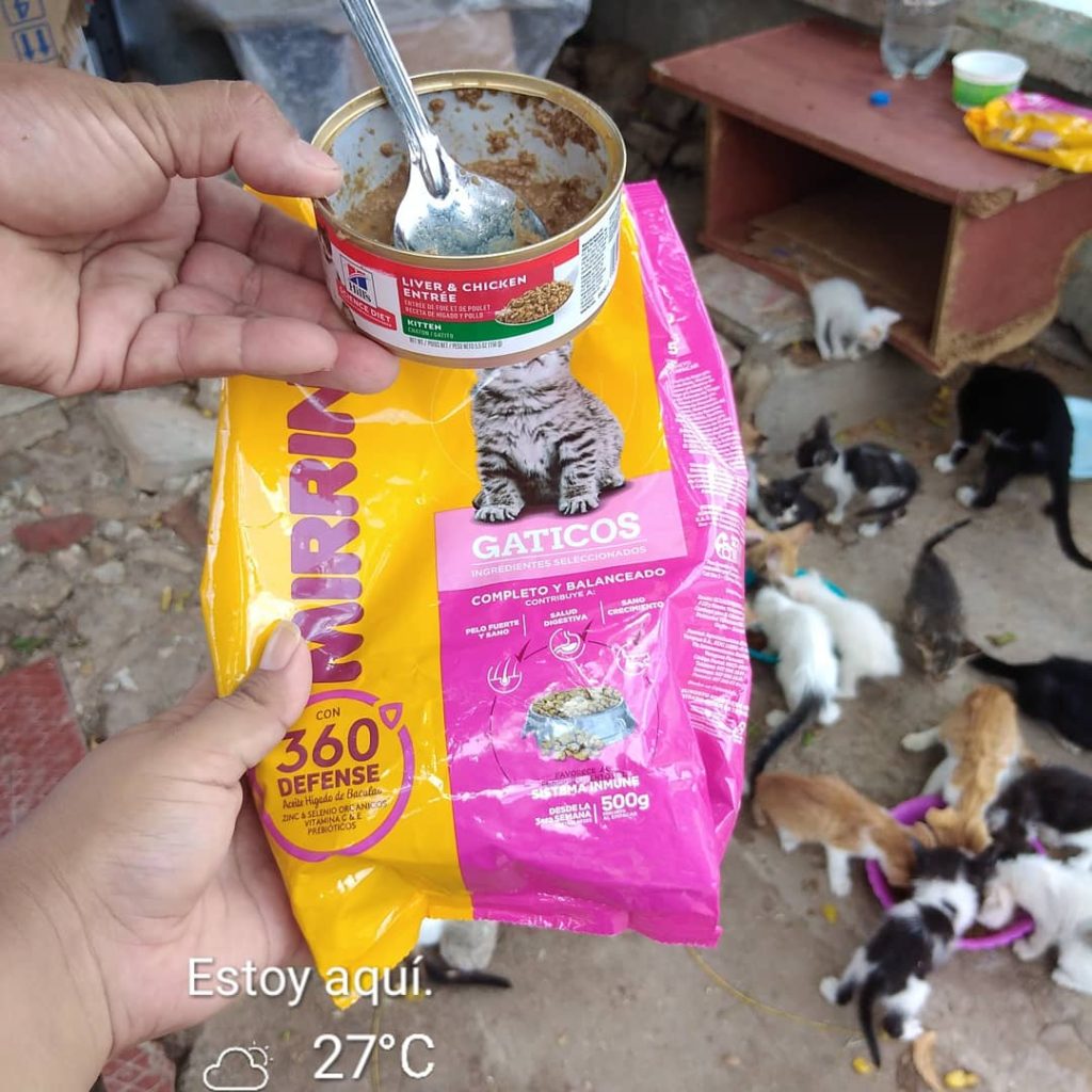 PHOTO-2021-06-11-13-42-19(2)