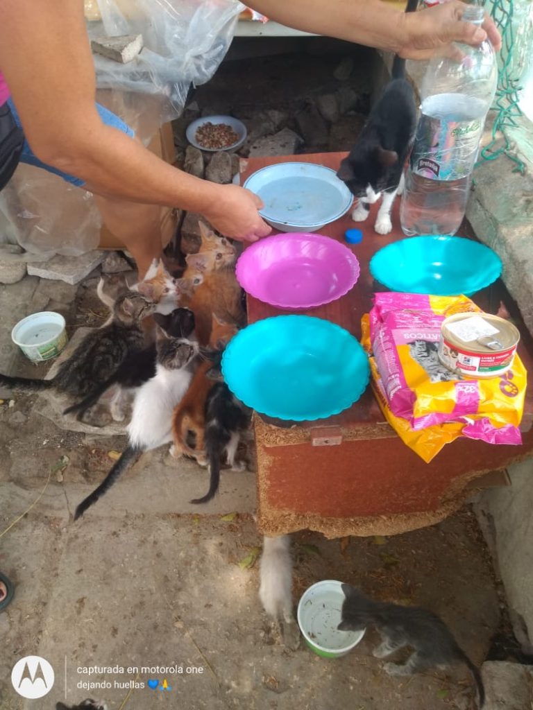 PHOTO-2021-06-11-13-42-20