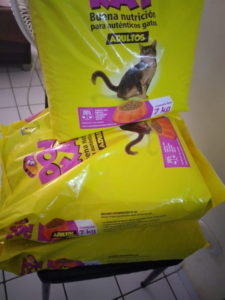 PHOTO-2021-07-12-09-18-33