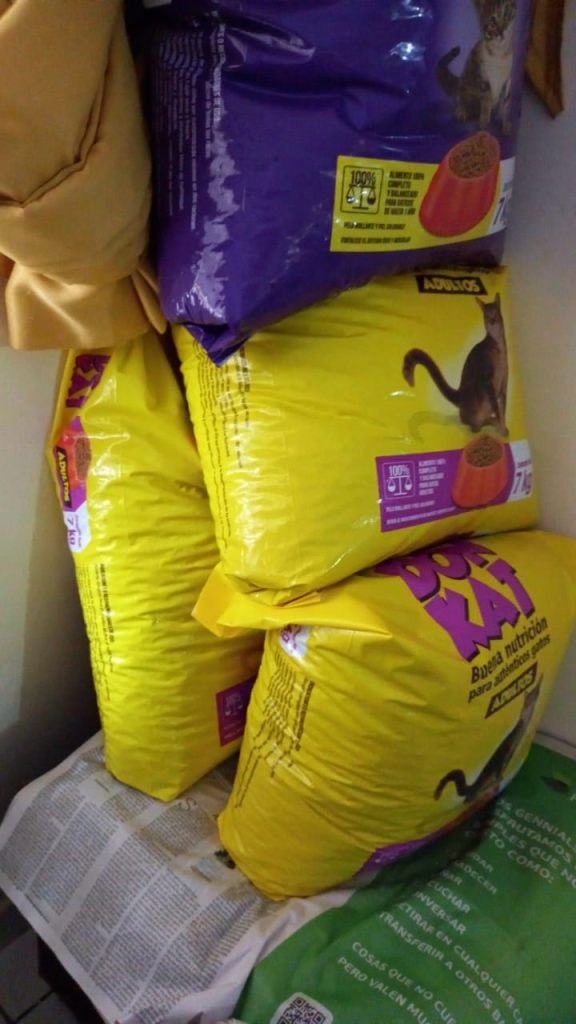 PHOTO-2021-08-26-05-11-38