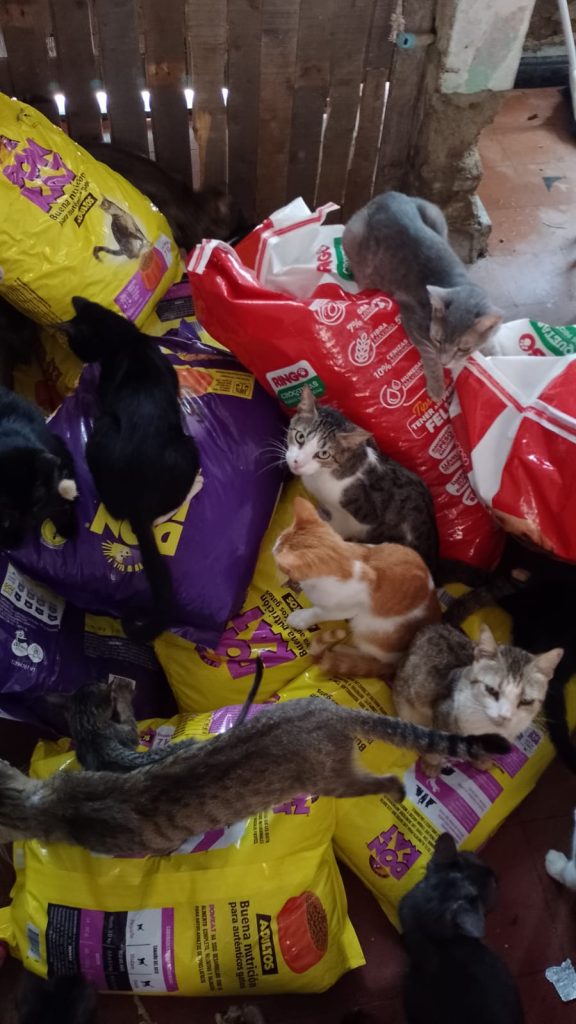 PHOTO-2022-09-20-10-02-14